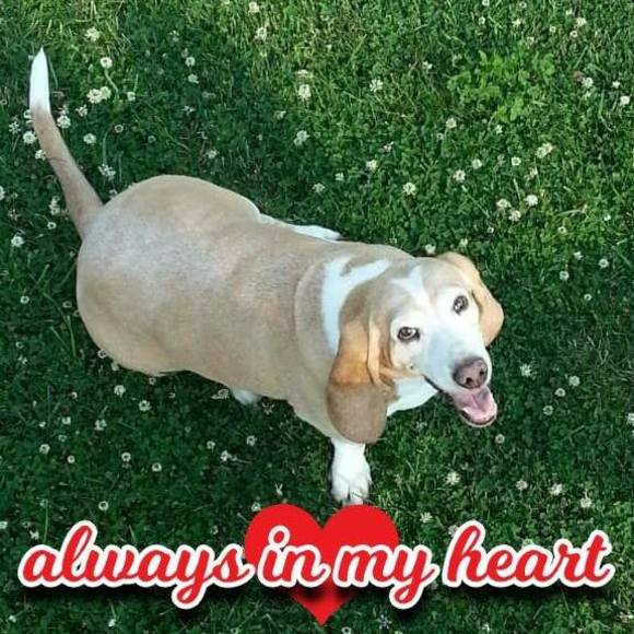 Meet your Posher, Andee - Picture 1 of 1